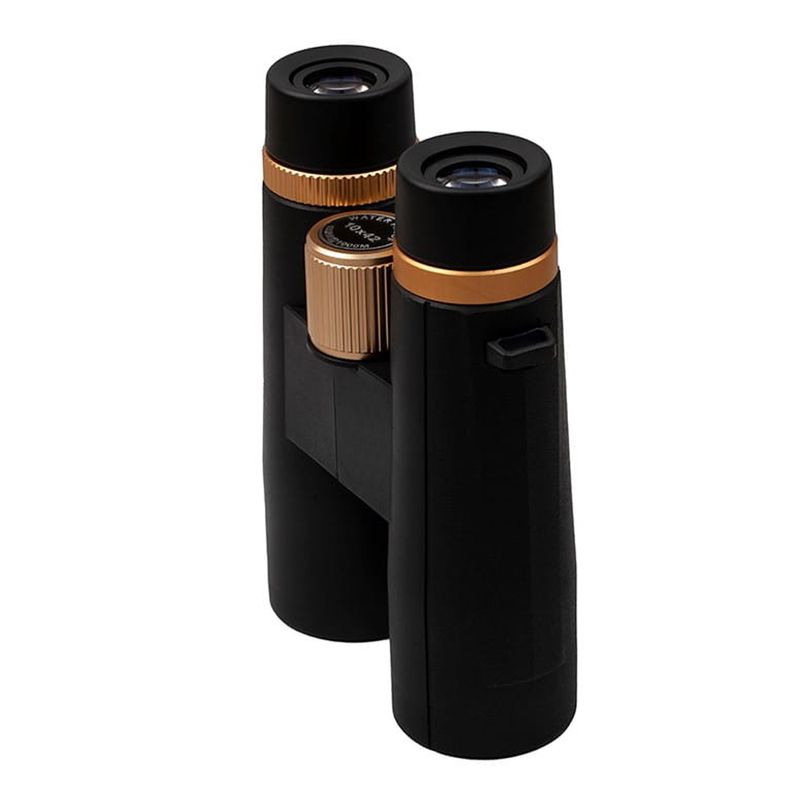 TV, Audio-Video si Foto - Optica, astronomie si metrologie - Optica si astronomie - Binocluri & lunete - Binoclu observare generala IdeallStore®, New Generation, 10X42, 16 cm, negru, husa inclusa - Infinity.ro