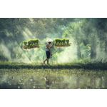 Casa si Gradina - Decoratiuni - Tablouri - Tablou canvas People 17, 60 x 40 cm - Infinity.ro