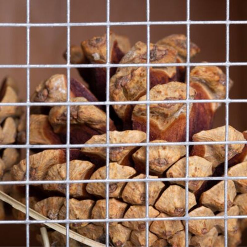 Petshop - Accesorii petshop - Culcusuri si custi - Custi interior si exterior - Hotel de insecte din lemn, S, 20cm, 46743.1 - Infinity.ro