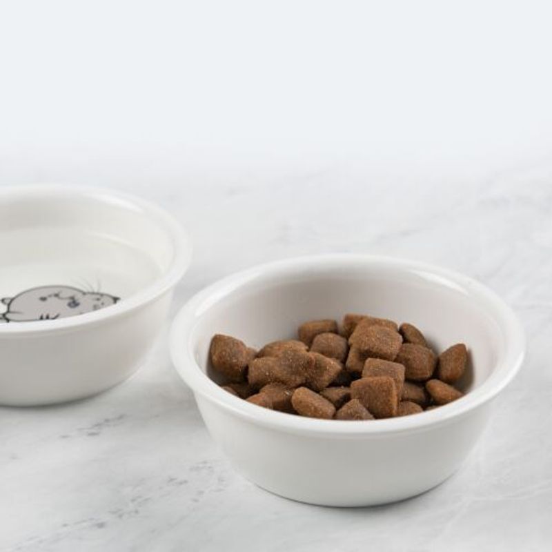 Petshop - Accesorii petshop - Castroane si adapatori - Hranitor triplu ridicat pentru pisici si caini de talie mica Navaris, 130 ml, Negru, 50174.47 - Infinity.ro