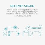 Petshop - Accesorii petshop - Castroane si adapatori - Hranitor triplu ridicat pentru pisici si caini de talie mica Navaris, 130 ml, Negru, 50174.47 - Infinity.ro