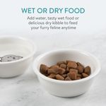 Petshop - Accesorii petshop - Castroane si adapatori - Hranitor triplu ridicat pentru pisici si caini de talie mica Navaris, 130 ml, Negru, 50174.47 - Infinity.ro