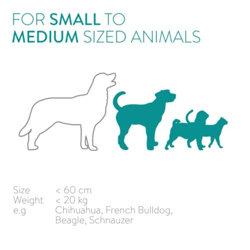 Petshop - Accesorii petshop - Castroane si adapatori - Hranitor automat pentru caini si pisici, 6 litri, 44769.03 - Infinity.ro