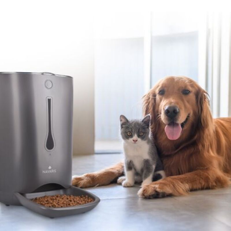 Petshop - Accesorii petshop - Castroane si adapatori - Hranitor automat pentru caini si pisici, 6 litri, 44769.03 - Infinity.ro