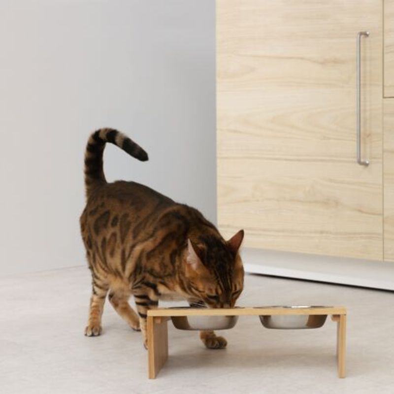 Petshop - Accesorii petshop - Castroane si adapatori - Set 2 Boluri pentru pisici si caini cu suport din bambus Navaris, 400 ml, Maro, 54489.01 - Infinity.ro