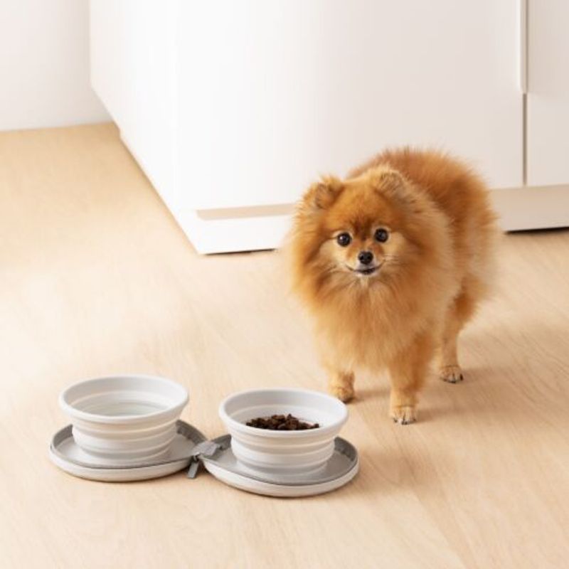 Petshop - Accesorii petshop - Castroane si adapatori - Set 2 Boluri pliabile pentru caini Navaris cu geanta de transport, 55167.25 - Infinity.ro