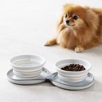 Petshop - Accesorii petshop - Castroane si adapatori - Set 2 Boluri pliabile pentru caini Navaris cu geanta de transport, 55167.25 - Infinity.ro