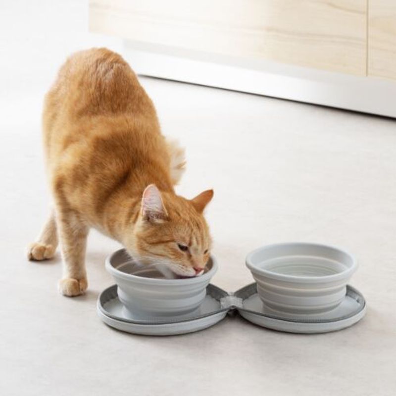 Petshop - Accesorii petshop - Castroane si adapatori - Set 2 Boluri pliabile pentru caini Navaris cu geanta de transport, 55167.25 - Infinity.ro