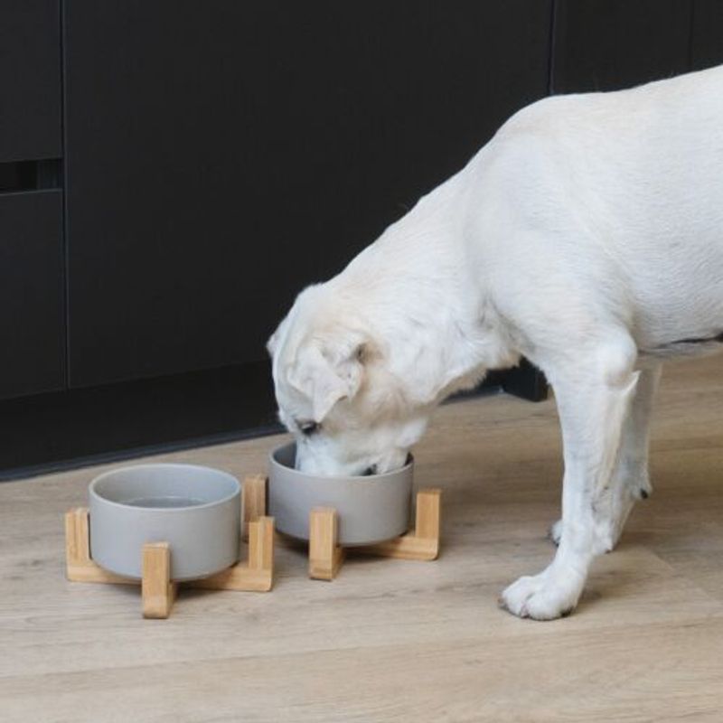 Petshop - Accesorii petshop - Castroane si adapatori - Set 2 Boluri pentru pisici si caini cu suport din bambus Navaris, 550 ml, Gri, 48350.1.22 - Infinity.ro