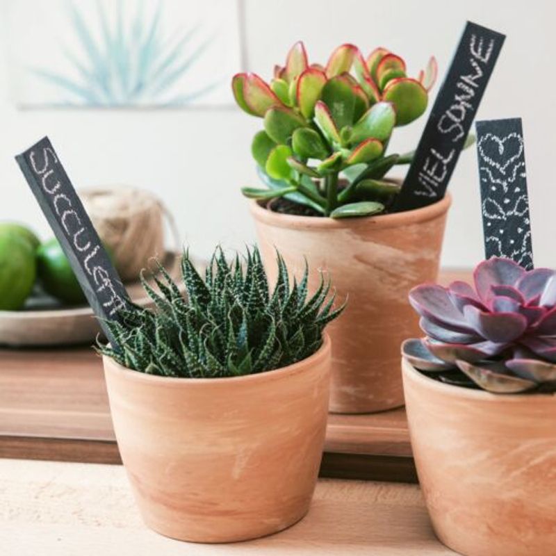 Casa si Gradina - Gradinarit si plante - Unelte gradinarit - Accesorii pentru unelte gradinarit - Set 10 Etichete de gradina din ardezie Navaris pentru plante,  42174 - Infinity.ro