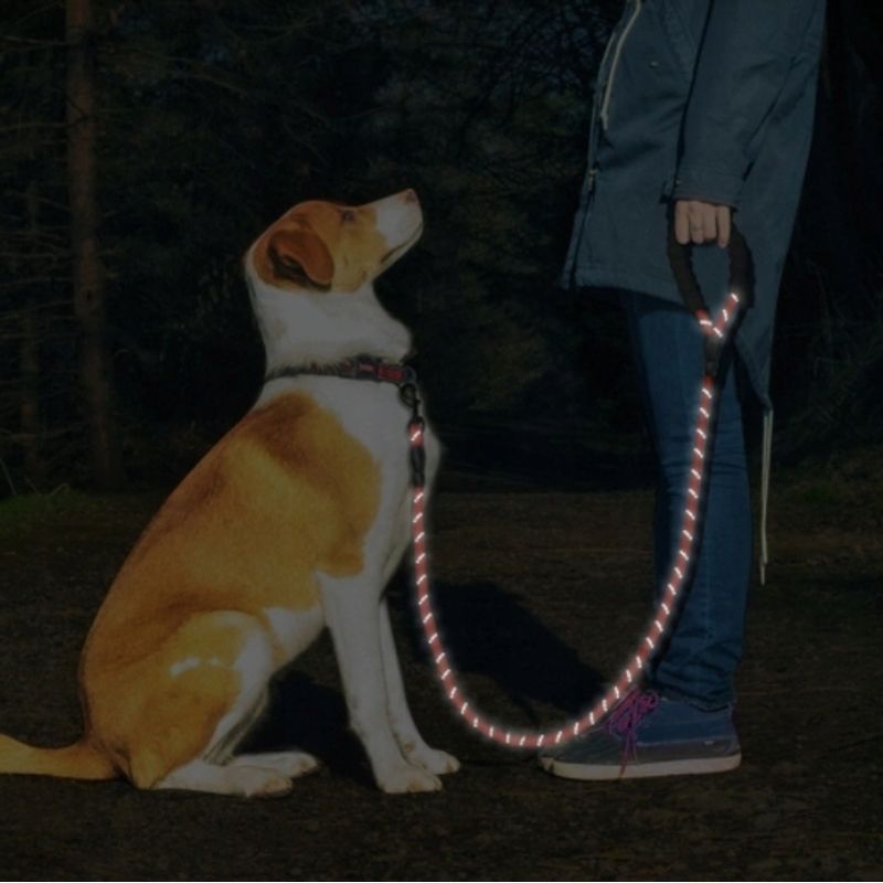 Petshop - Accesorii petshop - Zgarzi, lese si hamuri - Lese - Lesa tip franghie pentru dresaj, reflectorizant, 1.5 m, diametru 1 cm, rosu - Infinity.ro