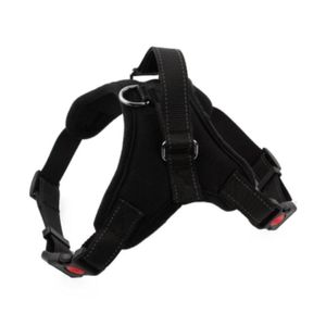 Petshop - Accesorii petshop - Zgarzi, lese si hamuri - Infinity.ro