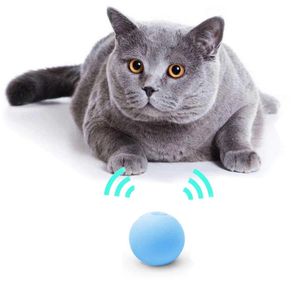 Petshop - Accesorii petshop - Jucarii animale - Infinity.ro
