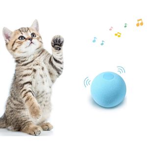 Petshop - Accesorii petshop - Infinity.ro