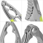 Casa si Gradina - Bucatarie si vesela - Ustensile bucatarie - Razatori si curatatoare - Spargator de nuci Springos, 15.5 x 4.5 cm, verde / argintiu - Infinity.ro