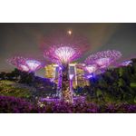 Casa si Gradina - Decoratiuni - Tapet - Autocolant, City 17, 220 x 135 cm - Infinity.ro