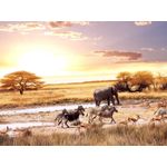 Casa si Gradina - Decoratiuni - Tapet - Autocolant, Animale din savana, 270 x 200 cm - Infinity.ro