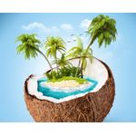 Casa si Gradina - Decoratiuni - Tapet - Autocolant, Insula cocotierilor, 270 x 200 cm - Infinity.ro