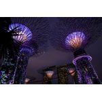 Casa si Gradina - Decoratiuni - Tapet - Autocolant, Parc Singapore 2, 220 x 135 cm - Infinity.ro