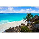 Casa si Gradina - Decoratiuni - Tapet - Autocolant, Palmieri 38, 270 x 200 cm - Infinity.ro