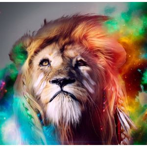 Casa si Gradina - Decoratiuni - Tapet - Infinity.ro