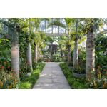 Casa si Gradina - Decoratiuni - Tapet - Autocolant, Gradina cu palmieri, 220 x 135 cm - Infinity.ro