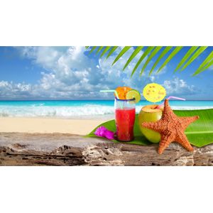 Casa si Gradina - Decoratiuni - Tapet - Infinity.ro