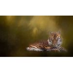 Casa si Gradina - Decoratiuni - Tablouri - Tablou canvas Animale model 105, 90x50 cm - Infinity.ro