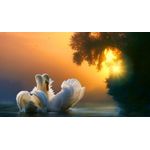 Casa si Gradina - Decoratiuni - Tablouri - Tablou canvas Animale model 128, 90x50 cm - Infinity.ro
