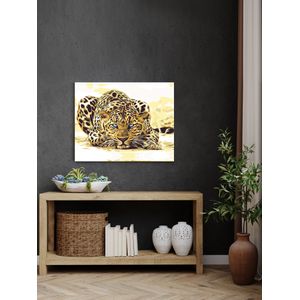Set pictura pe numere Privire de leopard 1125