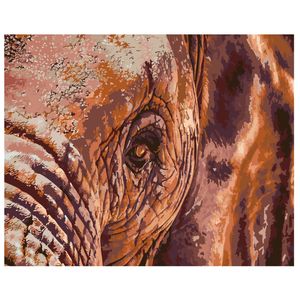 Set pictura pe numere Ochiul Elefantului
