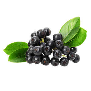Aronia fructe, Natural Seeds Product