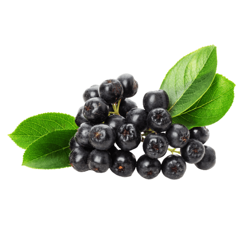 Market - Cafea si ceaiuri - Ceaiuri - Aronia fructe, 300 g - Infinity.ro