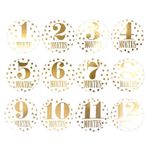 Carti si Birotica - Papetarie - Afise si stickere - Autocolantele Primele 12 luni, model Floare - Infinity.ro