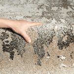 Casa si Gradina - Textile si covoare - Covoare - Covoare casa - Covor Merinos, Belis Essence 40191-595, densitate 2.85 kg/m², grosime 13 mm, 28800 noduri pe m², 80 x 150 cm - Infinity.ro