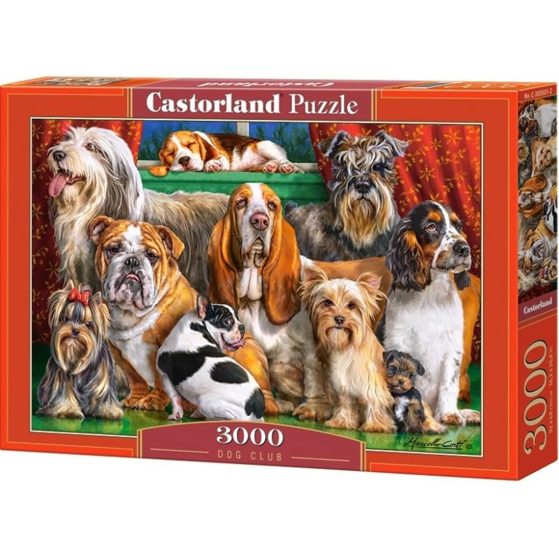 Jucarii, Copii si Bebe - Jucarii si jocuri - Jocuri si puzzle - Puzzle - Puzzle Castorland, 3000 piese - Infinity.ro