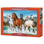 Jucarii, Copii si Bebe - Jucarii si jocuri - Jocuri si puzzle - Puzzle - Puzzle Castorland, 2000 piese - Infinity.ro