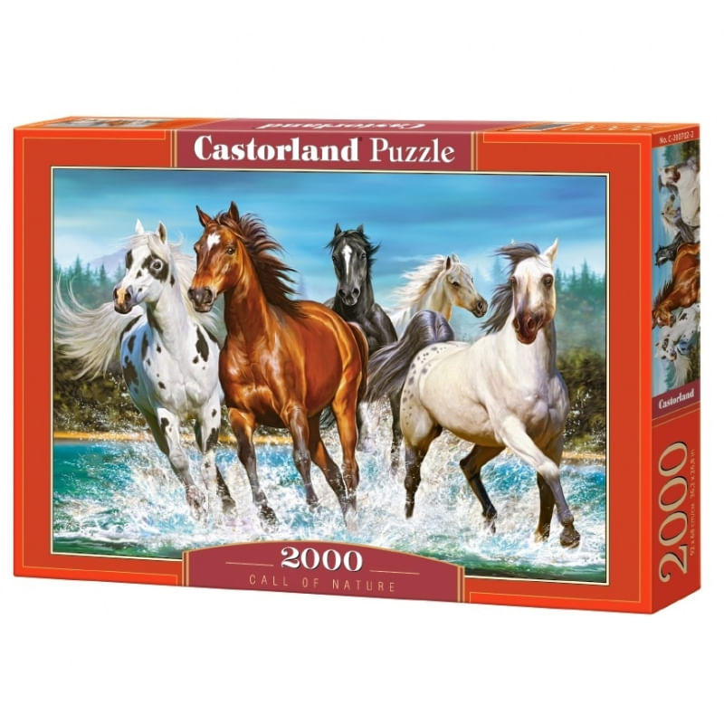 Jucarii, Copii si Bebe - Jucarii si jocuri - Jocuri si puzzle - Puzzle - Puzzle Castorland, 2000 piese - Infinity.ro