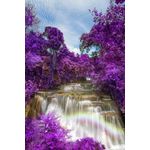 Casa si Gradina - Decoratiuni - Tapet - Fototapet, autocolant, Cascada in padurea mov, 150 x 205 cm - Infinity.ro