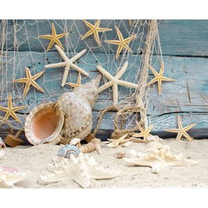 Fototapet de perete, autoadeziv si lavabil, Plasa cu stele 3, 220 x 135 cm