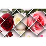 Casa si Gradina - Decoratiuni - Tapet - Autocolant, Trandafiri rosu, alb si roz, 270 x 200 cm - Infinity.ro