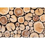 Casa si Gradina - Decoratiuni - Tapet - Fototapet de perete, autoadeziv si lavabil, Compozitie 48, 270 x 200 cm - Infinity.ro