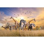 Casa si Gradina - Decoratiuni - Tapet - Fototapet, Animale din savana africana, 400 x 250 cm - Infinity.ro
