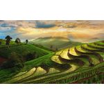 Casa si Gradina - Decoratiuni - Tapet - Autocolant, Natura 87, 270 x 200 cm - Infinity.ro