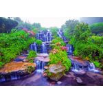 Casa si Gradina - Decoratiuni - Tapet - Fototapet, Cascada 50 Cascada din gradina cu flori, 300 x 250 cm - Infinity.ro