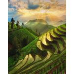 Casa si Gradina - Decoratiuni - Tapet - Autocolant, Natura 87, 135 x 225 cm - Infinity.ro