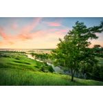 Casa si Gradina - Decoratiuni - Tapet - Fototapet de perete, autoadeziv si lavabil, Natura 174 Valea cu salcami, 250 x 150 cm - Infinity.ro