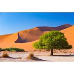Casa si Gradina - Decoratiuni - Tapet - Fototapet de perete, autoadeziv si lavabil, Natura 93, 400 x 250 cm - Infinity.ro
