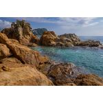 Casa si Gradina - Decoratiuni - Tapet - Fototapet de perete, autoadeziv si lavabil, Natura 144, 350 x 250 cm - Infinity.ro