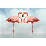 Casa si Gradina - Decoratiuni - Tapet - Fototapet de perete, autoadeziv si lavabil, Dragoste si flamingo, 200 x 150 cm - Infinity.ro